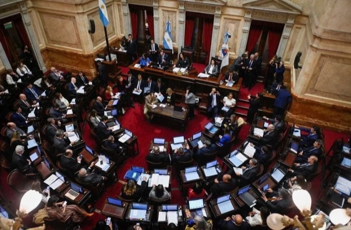 LUEGO DEL TRIUNFO DE LA LEY BASES, EL OFICIALISMO SE PREPARA PARA UNA DERROTA EN EL SENADO CON LAS JUBILACIONES