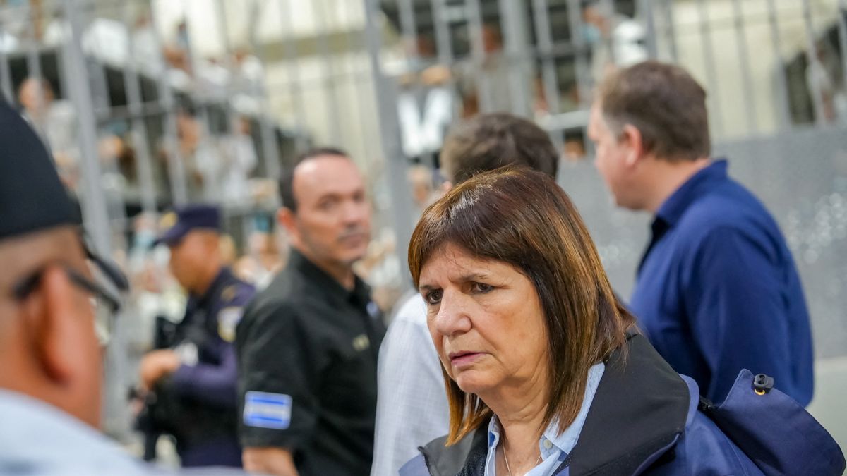 BUSQUEDA DE LOAN: PATRICIA BULLRICH VA A VIAJAR A PARAGUAY PARA ENCONTRARSE CON LA POLICIA LOCAL