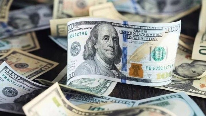 DOLAR BLUE: SUBIO $30 Y SE ACERCA AL 50 POR CIENTO