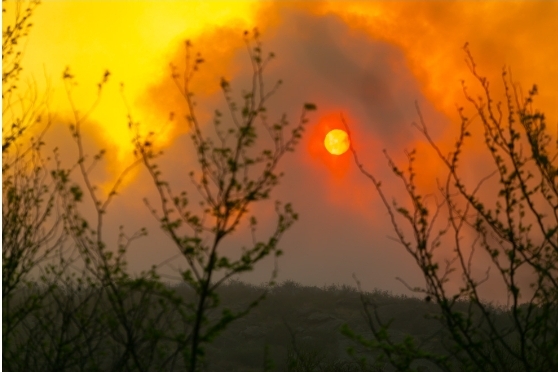 SIGUEN ACTIVOS DOS INCENDIOS EN CÒRDOBA