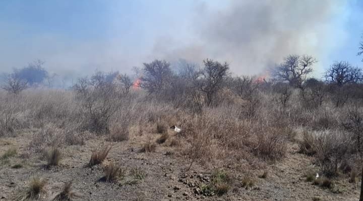 INCENDIO FORESTAL EN PARAJE ALTO DE FLORES