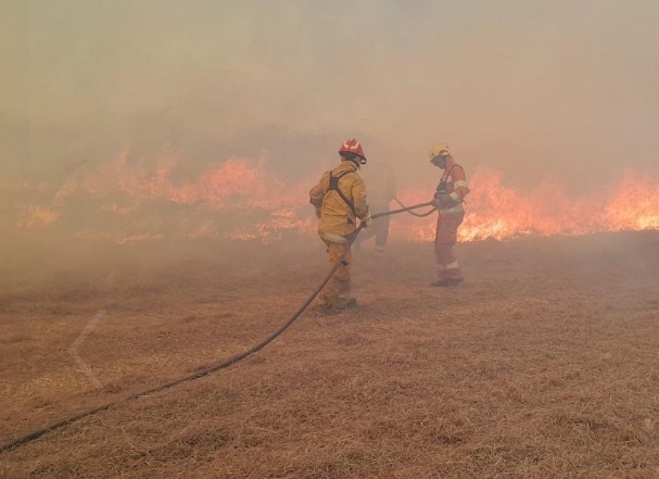 BOMBEROS COMBATEN UN INCENDIO ENTRE LA CALERA Y LA AUTOPISTA CÓRDOBA-CARLOS PAZ