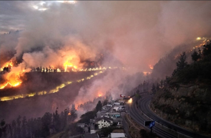BOMBEROS CONTINÚAN CON LA LUCHA DE INCENDIOS EN LA CAPITAL PROVINCIAL ECUADOR: MÁS DE 30.000 HECTÁREAS ARRASADAS POR EL FUEGO