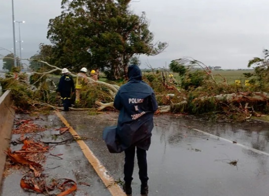 TORMENTA DEVASTADORA EN EL SUR DE CÓRDOBA: TECHOS VOLADOS, ÁRBOLES CAÍDOS Y DAÑOS GENERALIZADOS